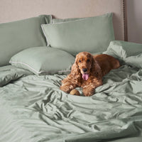 Piping Hotel Duvet Cover | 300 Thread Count