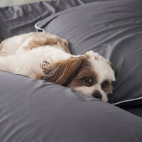 Piping Luxe Duvet Cover | 600 Thread Count