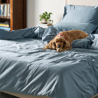 Piping Luxe Duvet Cover | 600 Thread Count