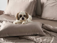 Classic Luxe Duvet Cover Set | 600 Thread Count