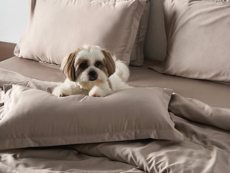 Classic Luxe Duvet Cover Set | 600 Thread Count