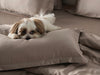 Classic Luxe Sheet Set | 600 Thread Count