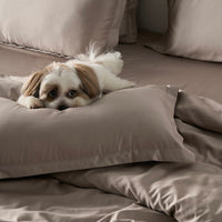 Classic Luxe Pillowcase Pair | 600 Thread Count
